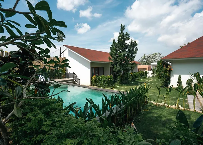 Zena Surf Suite